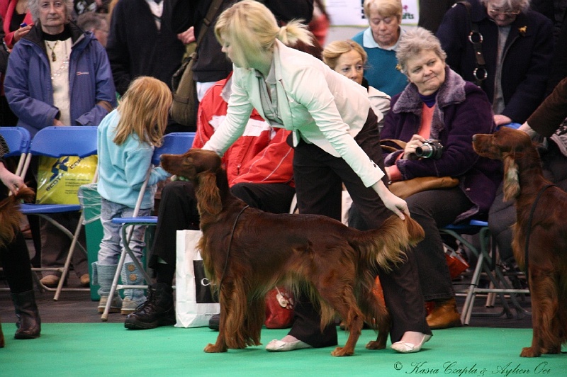 Crufts2011 261.jpg